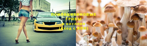 apvp Арсеньев