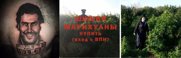 спайс Алзамай