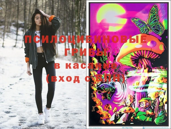apvp Арсеньев