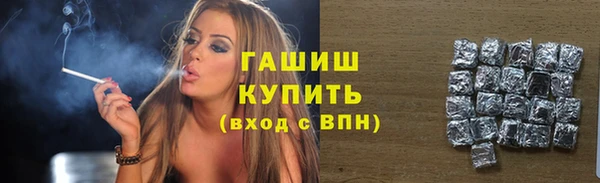 крисы Няндома