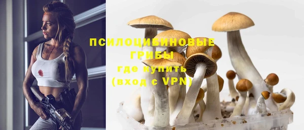МДПВ Армянск