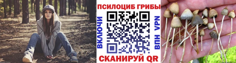 наркошоп  Мытищи  нарко площадка клад  Псилоцибиновые грибы мухоморы 